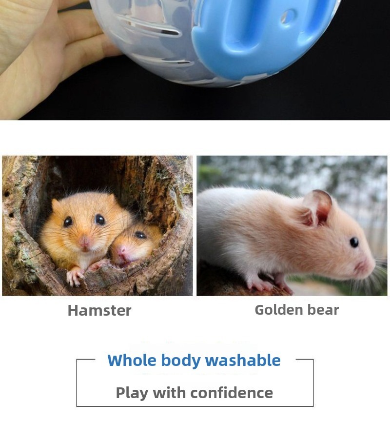 Hamster Running Exercise Ball Toy