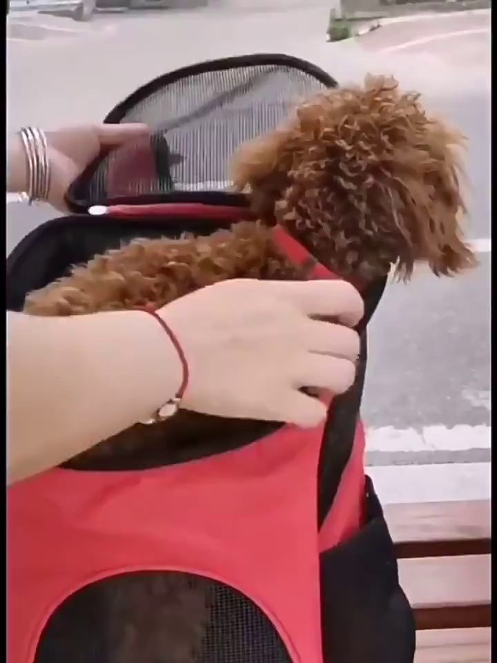 Casual Plaid Dog Shirt XS-4XL