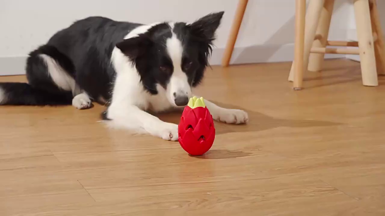 Fruit Shaped Dog Molars Chew Toy