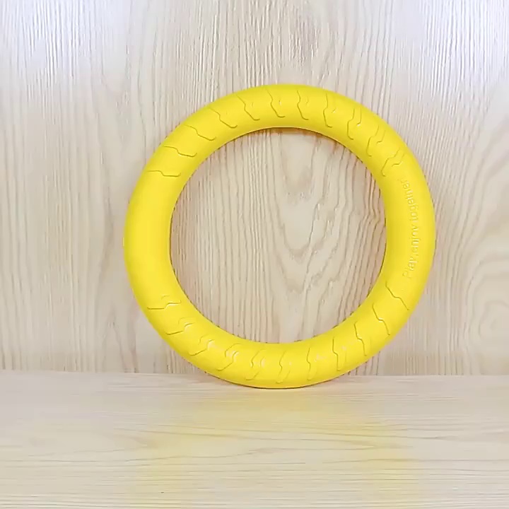 EVA Floating Circle Dog Toy for Water Training