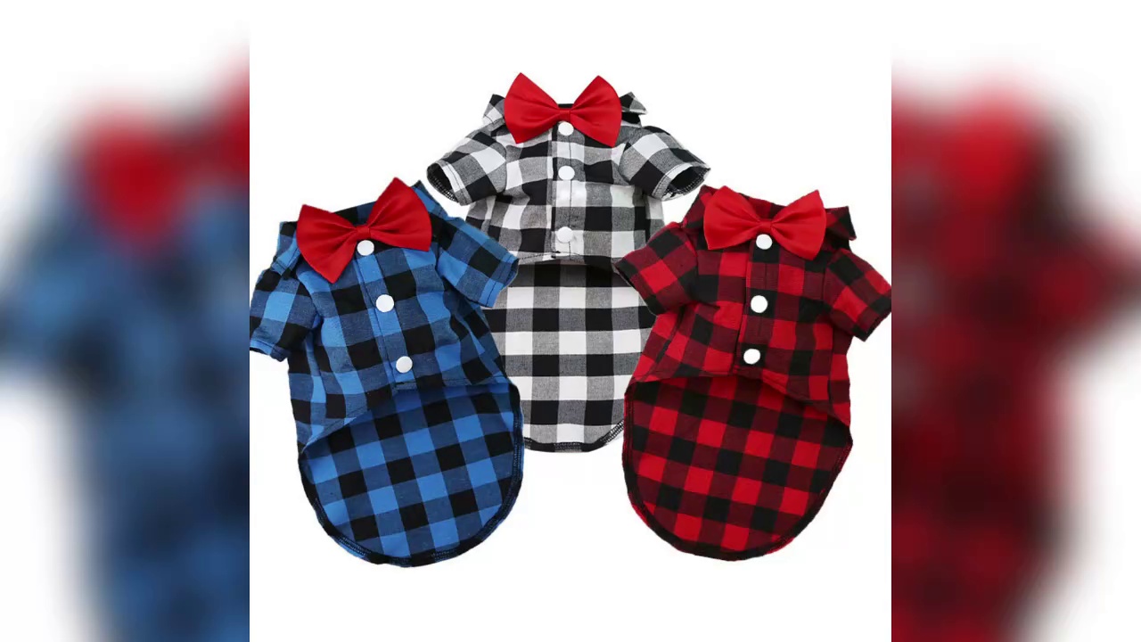 Bunny Harness and Leash Set with Spring Print