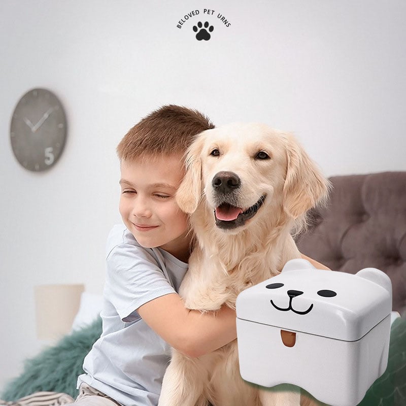 Pet Ashes Urns