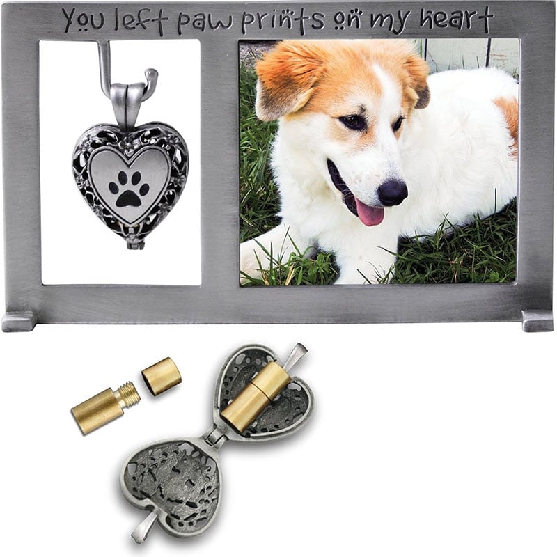 Pet Frame