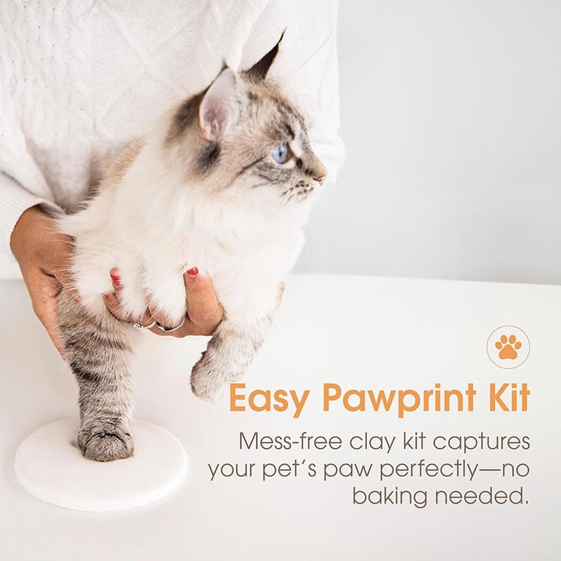 Pet Paw Print Photo Frame