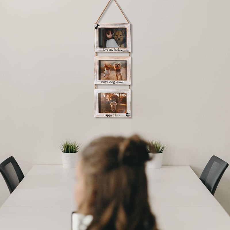 Dogs Wall Picture Frame