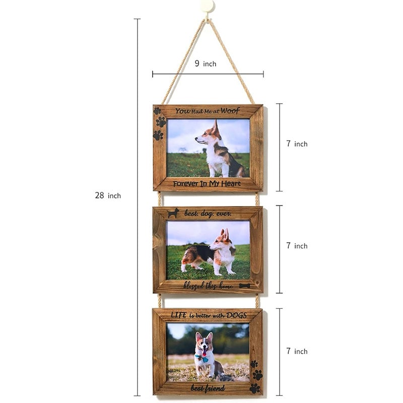 Dogs Wall Picture Frame