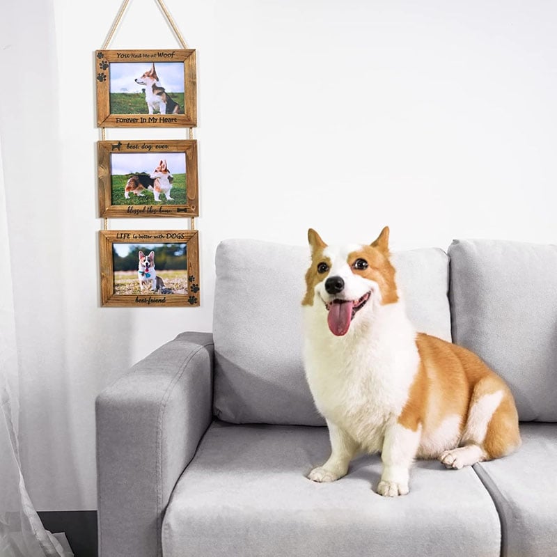 Dogs Wall Picture Frame