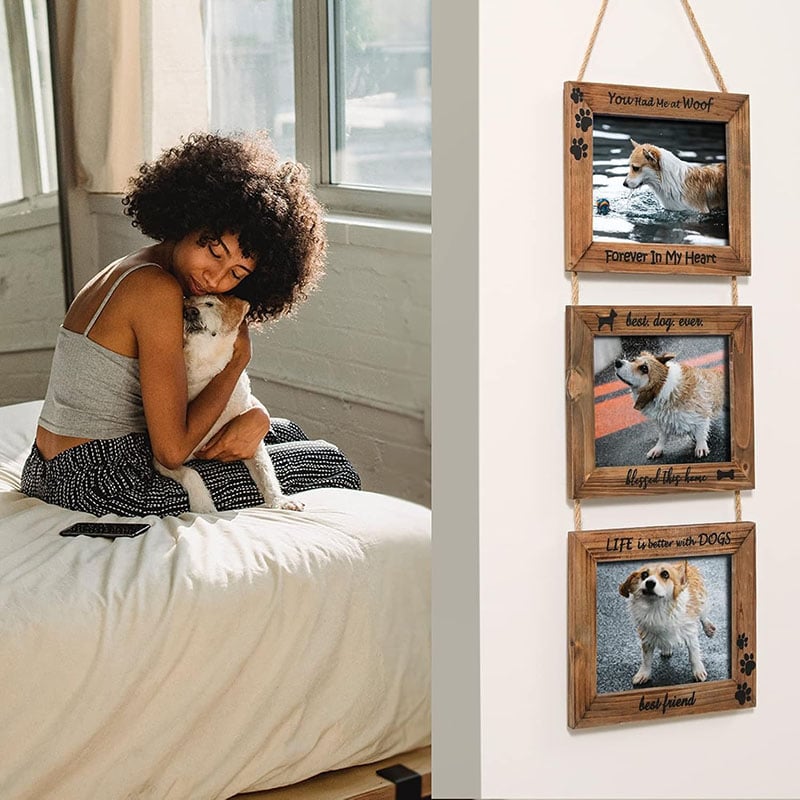 Dogs Wall Picture Frame