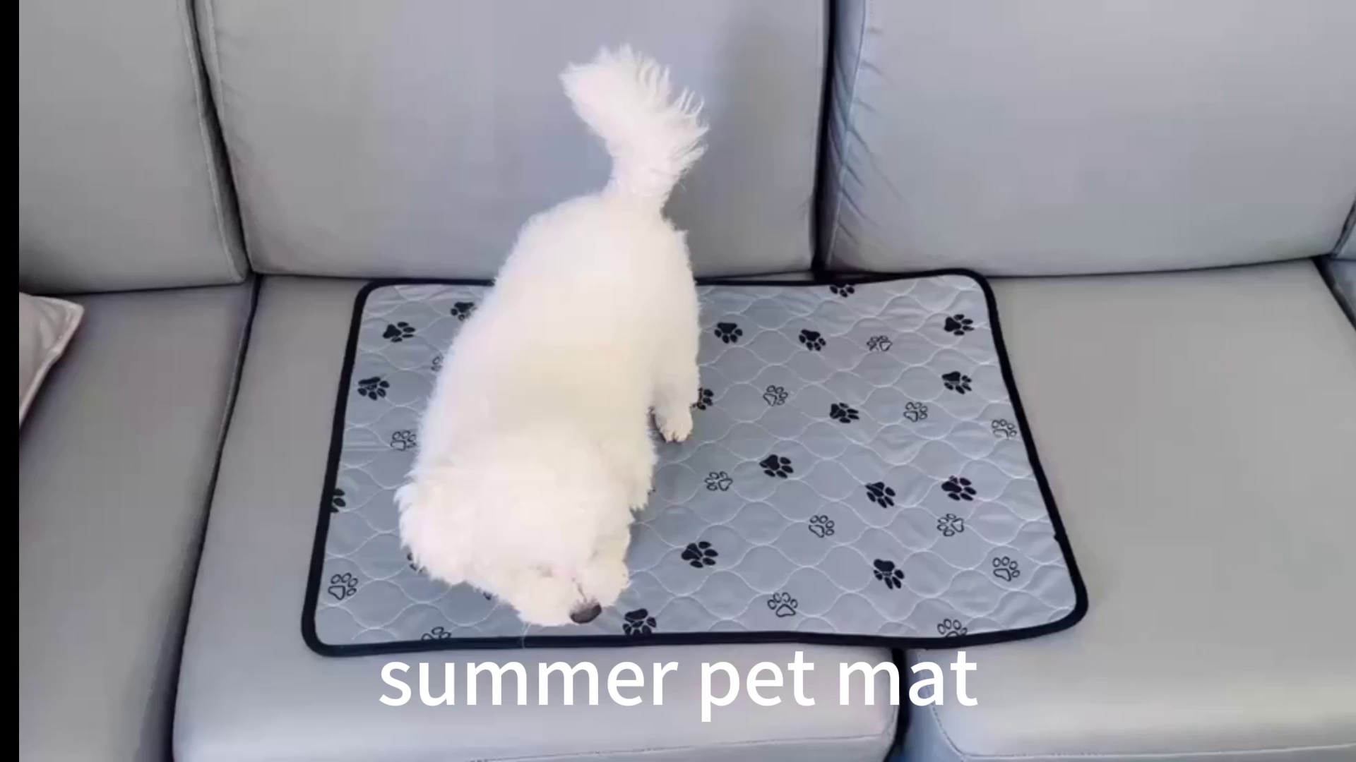 Anti-Slip Pet Seat Cushion with Paw Print