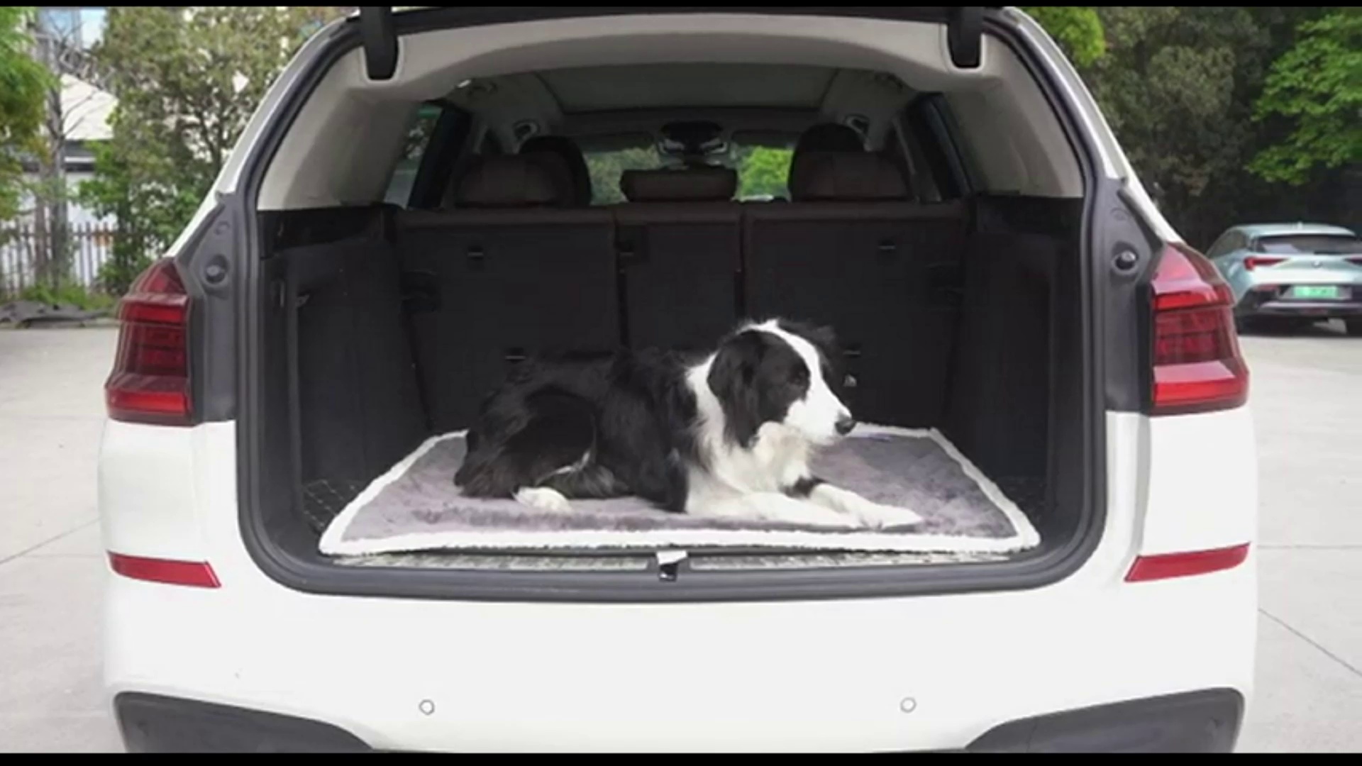 All-Season Flannel Waterproof Pet Mat