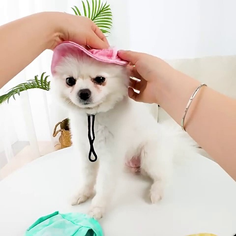 Anti-Choking Fisherman Pet Hat with Sun Protection