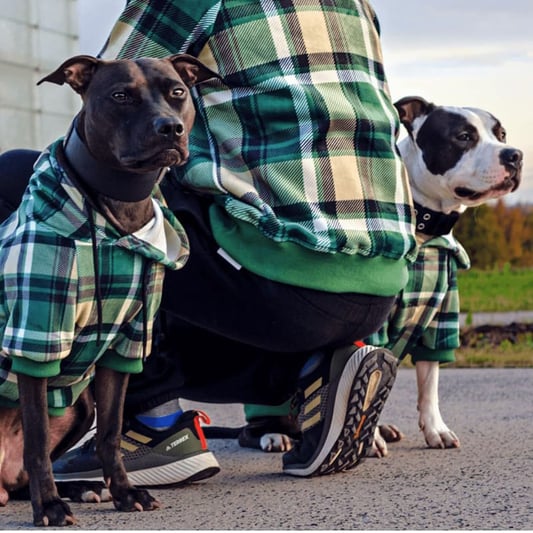 Premium Quality Superior Comfort and Fit Dog Hoodies