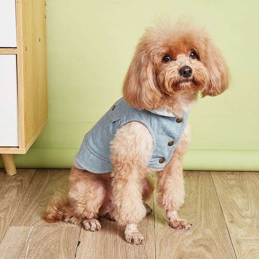Light Wash Denim Dog Jacket