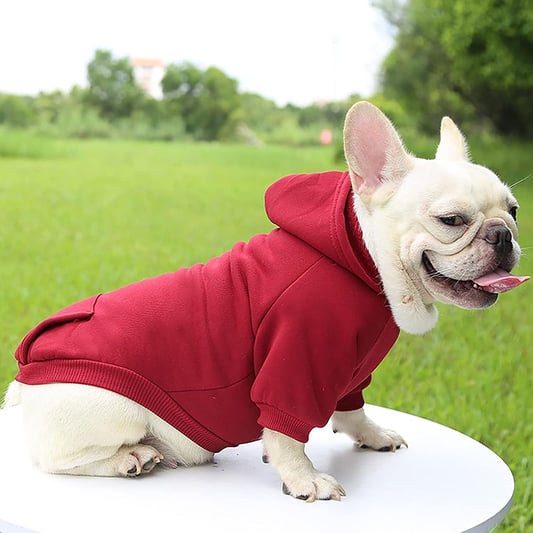 Fashion Solid Dog Hoodie With Two Legs