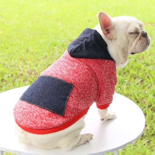 Winter Spring Warm Fleece Dog Hoodies
