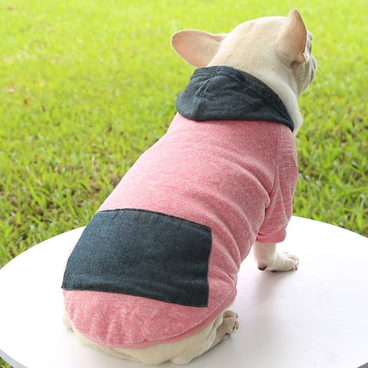 Winter Spring Warm Fleece Dog Hoodies