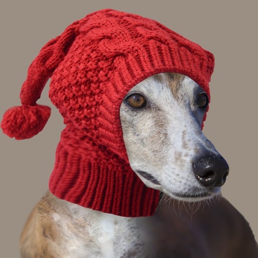 Yarn Warming Hat for Whippets and Greyhounds