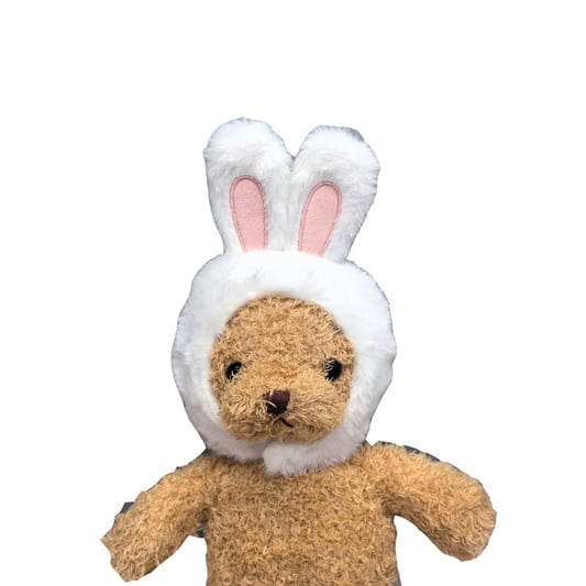 Bunny Ear Hat and Apparel for Pet Photo Shoots