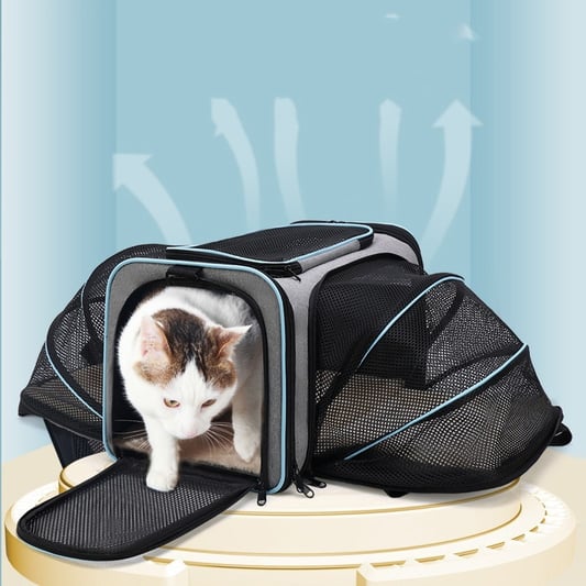 Expandable Outdoor Pet Carrier with Mesh Window