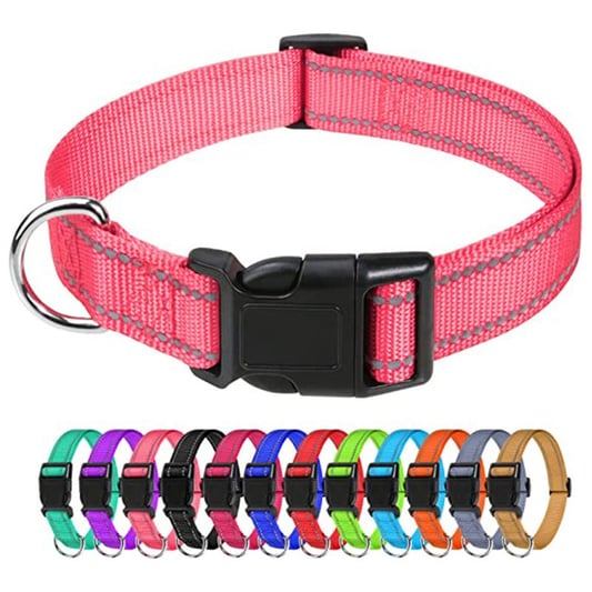 Adjustable Nylon Dog Collar with Quick-Release Buckle