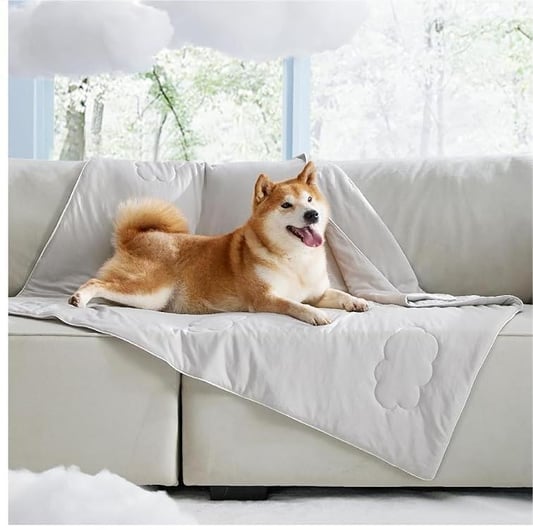 Cloud Pattern Summer Cooling Pet Blanket