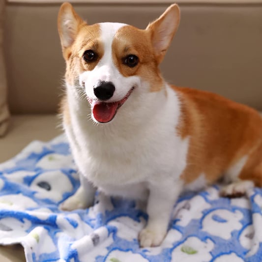 Elephant Pattern Coral Fleece Pet Blanket