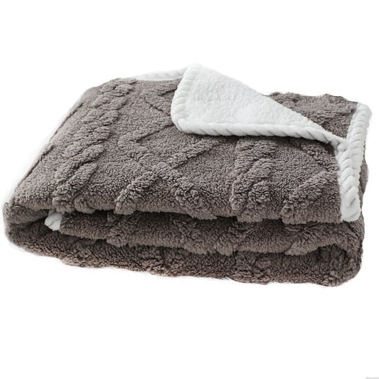 Extra Large Thickened Waterproof Pet Blanket