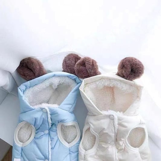 Teddy Bear Winter Jacket with Fleece Lining