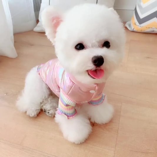 Cartoon Cotton Dog Vest for Casual Wear