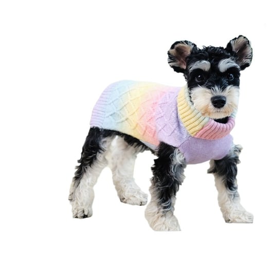 Heart Pattern Pet Jacket with Leash Loop