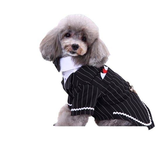 Warm Winter Pet Clothes for Cats and Dogs