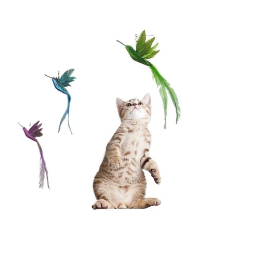 Cat Teaser Feather Bird Head Toy
