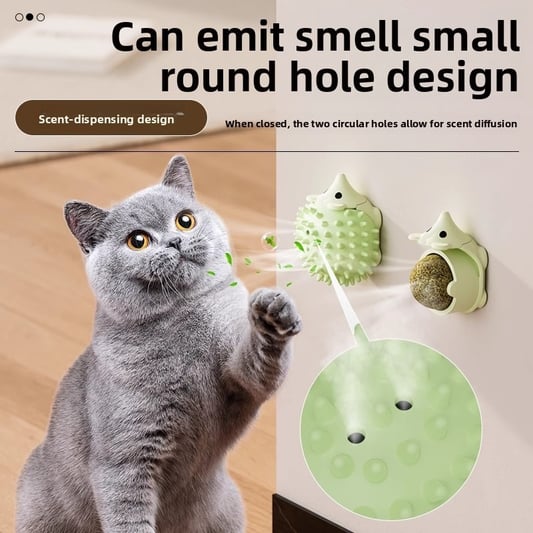 Cat Mint Hedgehog Chew Toy