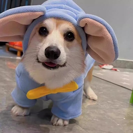 Padded Dog Hoodie with Big Ear Bow Decoration