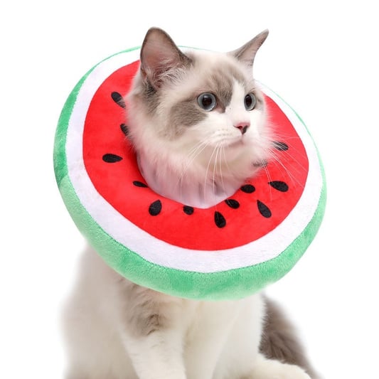Pet Elizabethan Collar Fruit Print Adjustable