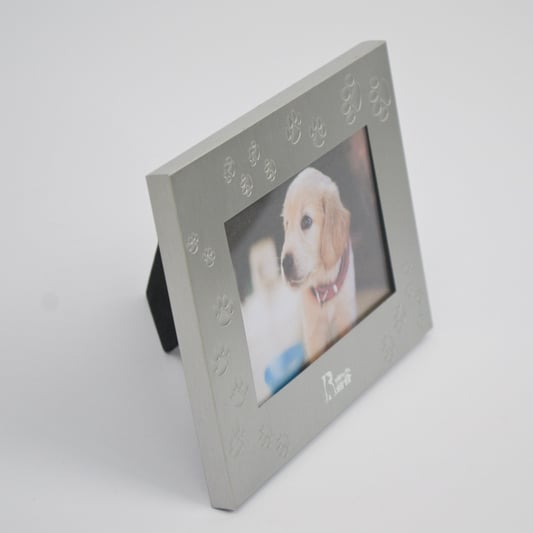 DOG BONE FRAME