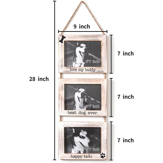 Dogs Wall Picture Frame