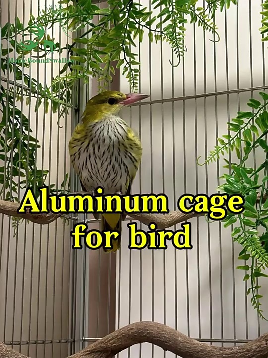 Customizable Double Door Bird Cage with Clearance