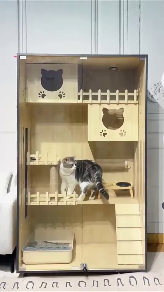 Luxury Wooden Cat Villa with Side Glass Panels