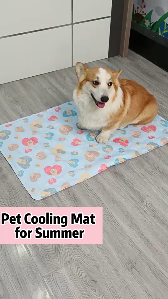 Summer Cooling Gel Pad for Dogs and Cats