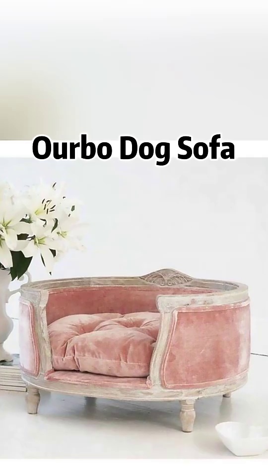 Modern Pet Sofa Bed for Medium Large Dogs