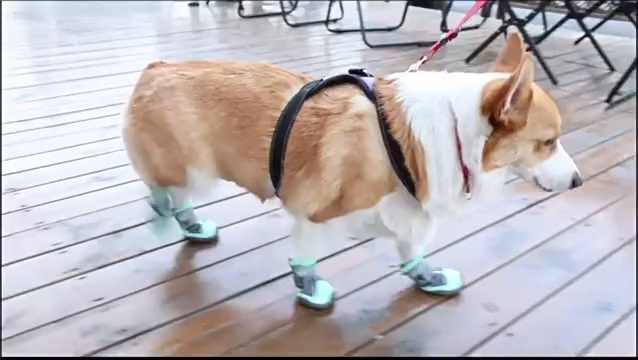 Classic Outdoor Anti-Slip Rubber Dog Shoes