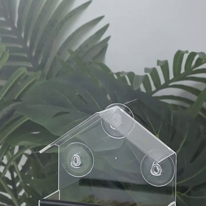 Acrylic Wall Mounted Bird Feeder without Drilling