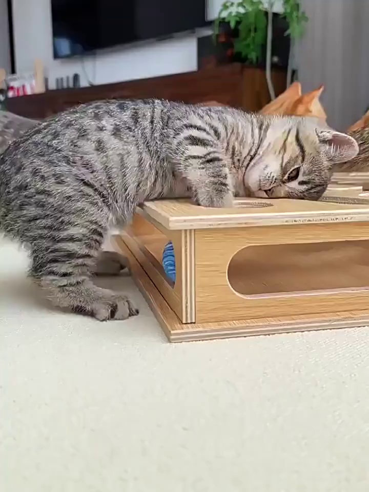 Wooden Cat Maze Puzzle Toy Box