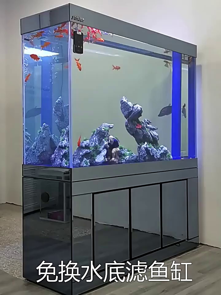 50L Luxury Rectangle Glass Aquarium Remote Control