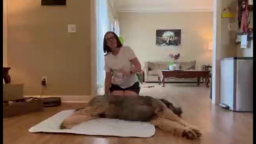 Portable Pet Cooling Ice Sensing Mat